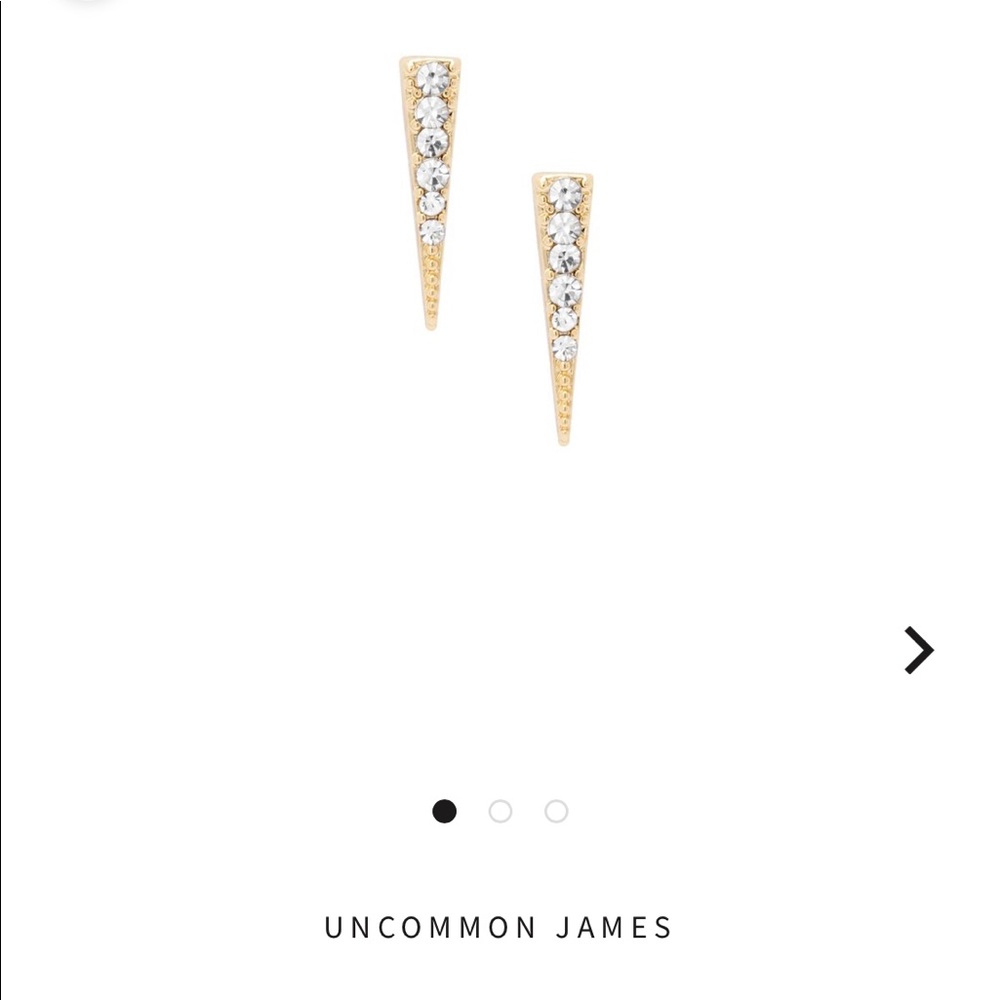 Uncommon James earrings